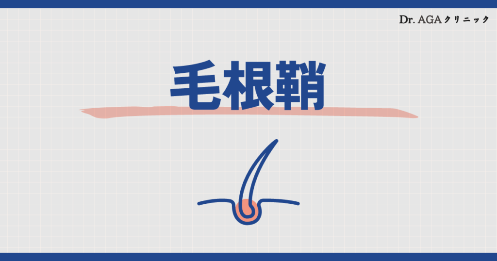 毛根に付着する白い塊とは?毛根鞘と頭皮の角栓の違いを解説! – 薄毛・抜け毛治療ならDr.AGAクリニック